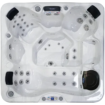 Avalon EC-849L hot tubs for sale in Oaklawn