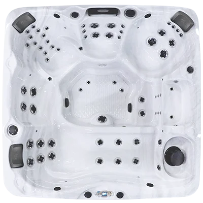 Avalon EC-867L hot tubs for sale in Oaklawn